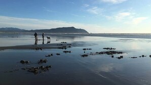 Una spiaggia con persone e un cane, acqua calma e montagne in lontananza.