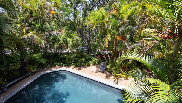 A swimming pool surrounded by dense tropical foliage.