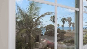 A view through a window with a clear sky, palm trees, and a distant coastline.