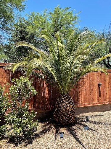 Cozy 2 bed 2 bath Santa Fe style, 55+ Senior Community Green Valley town home.