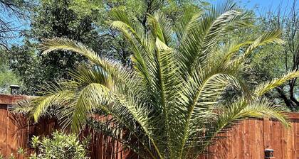 Cozy 2 bed 2 bath Santa Fe style, 55+ Senior Community Green Valley town home.