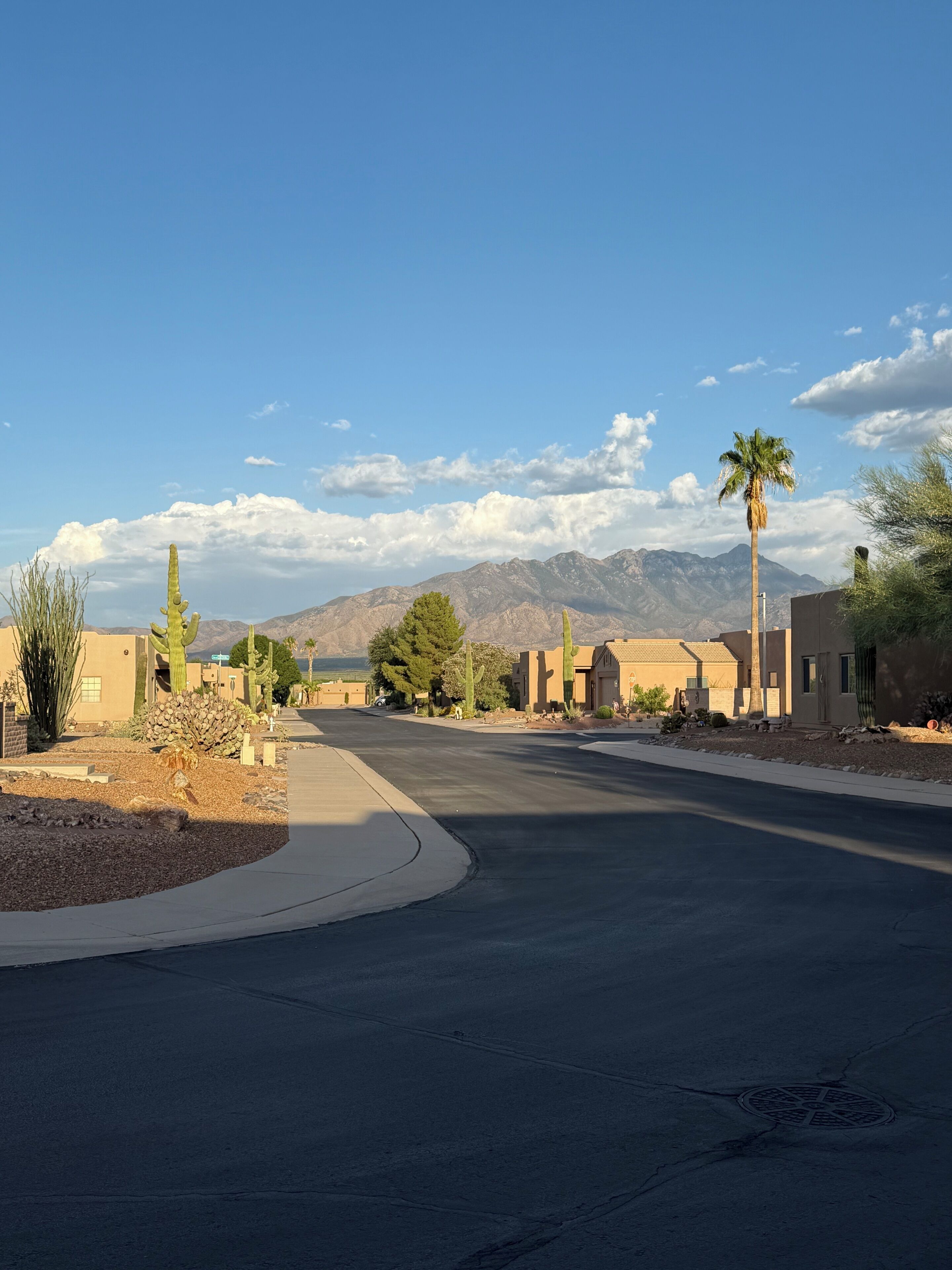 A residential street with houses, a palm tree, and mountains in the background.