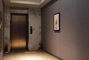 Un ascenseur aux murs de marbre, orné d’une œuvre d ’art encadrée et équipé d’un extincteur.