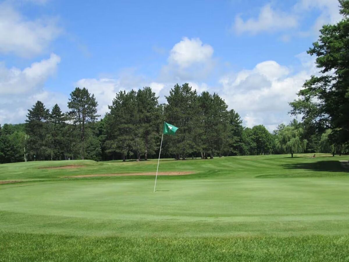 Ein Golfplatz mit Fahnenstange in der Mitte, umgeben von einem gepflegten Grün und Bäumen im Hintergrund.