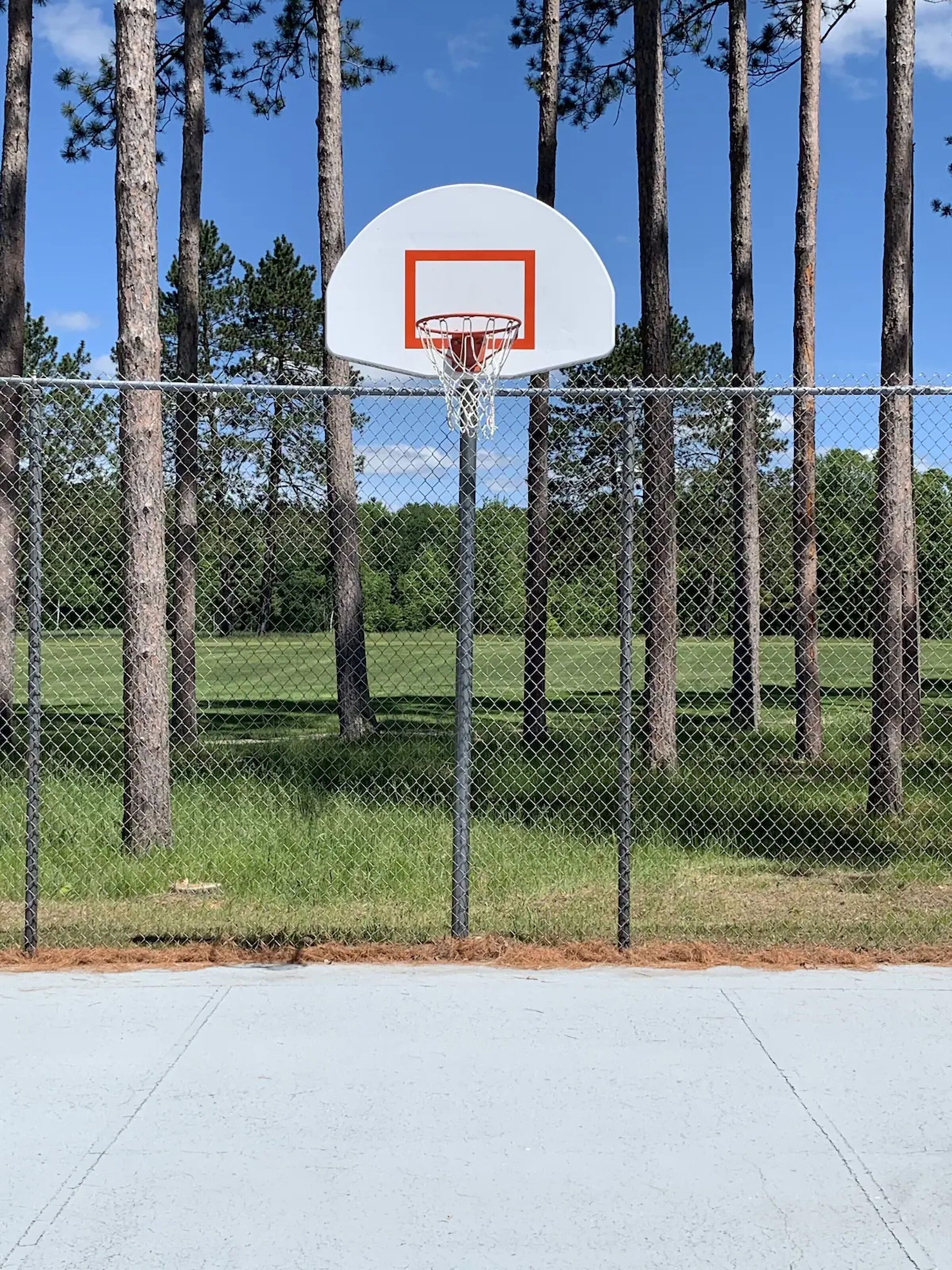 Een basketbalring met een hek van gaas en bomen op de achtergrond.