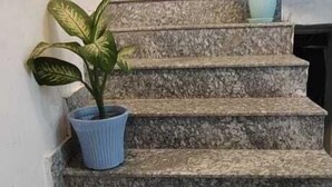 A set of stone steps leading up to a landing with potted plants on either side. - Hotel Sri Kishan Kripa Inn (Prayagraj)