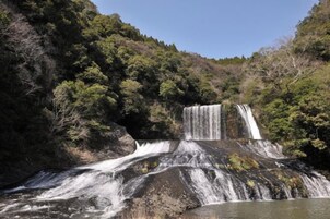 Ein Wasserfall stürzt über zerklüftetes Gestein, umgeben von dichtem Wald.