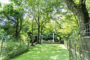 A pathway flanked by trees and a metal fence, leading to a covered area.