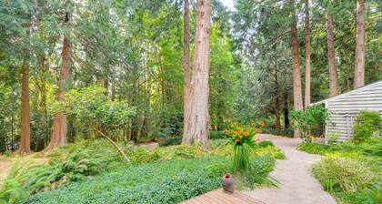 Walk to Beach + Village: Bainbridge Island Gem!