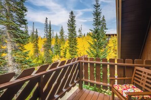 Property grounds - 'The Mountain Chalet' - Free Ski Shuttle to Lifts! (Winter Park)