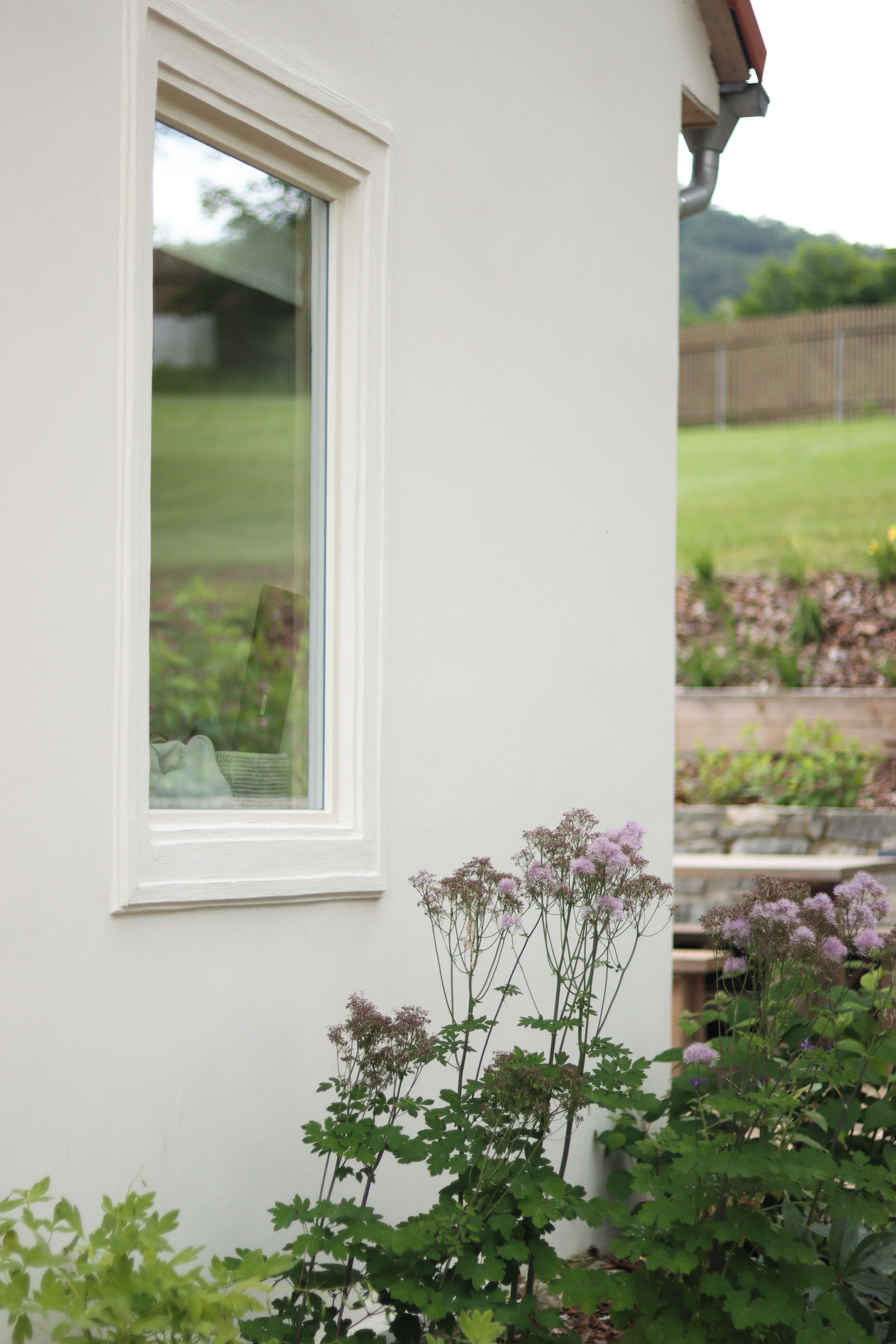 A white exterior wall with a window and a garden with purple flowers.