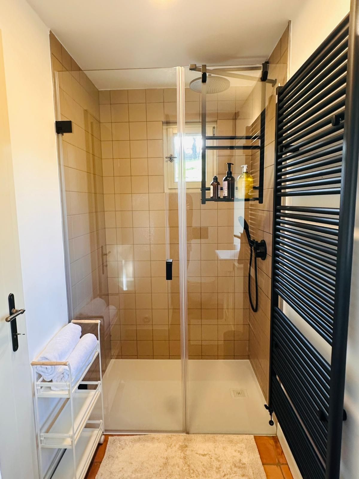 Une petite salle de bain moderne avec une douche à parois de verre, un porte-serviettes blanc et un radiateur noir.