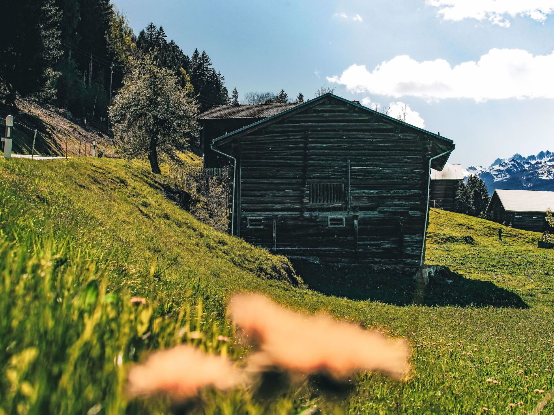 Ulkopuoli