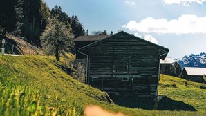 A rustic wooden building with a sloped roof, surrounded by a grassy hillside and trees. - Lovely apartment for 6 people with WIFI, balcony and panoramic view (Rabius)