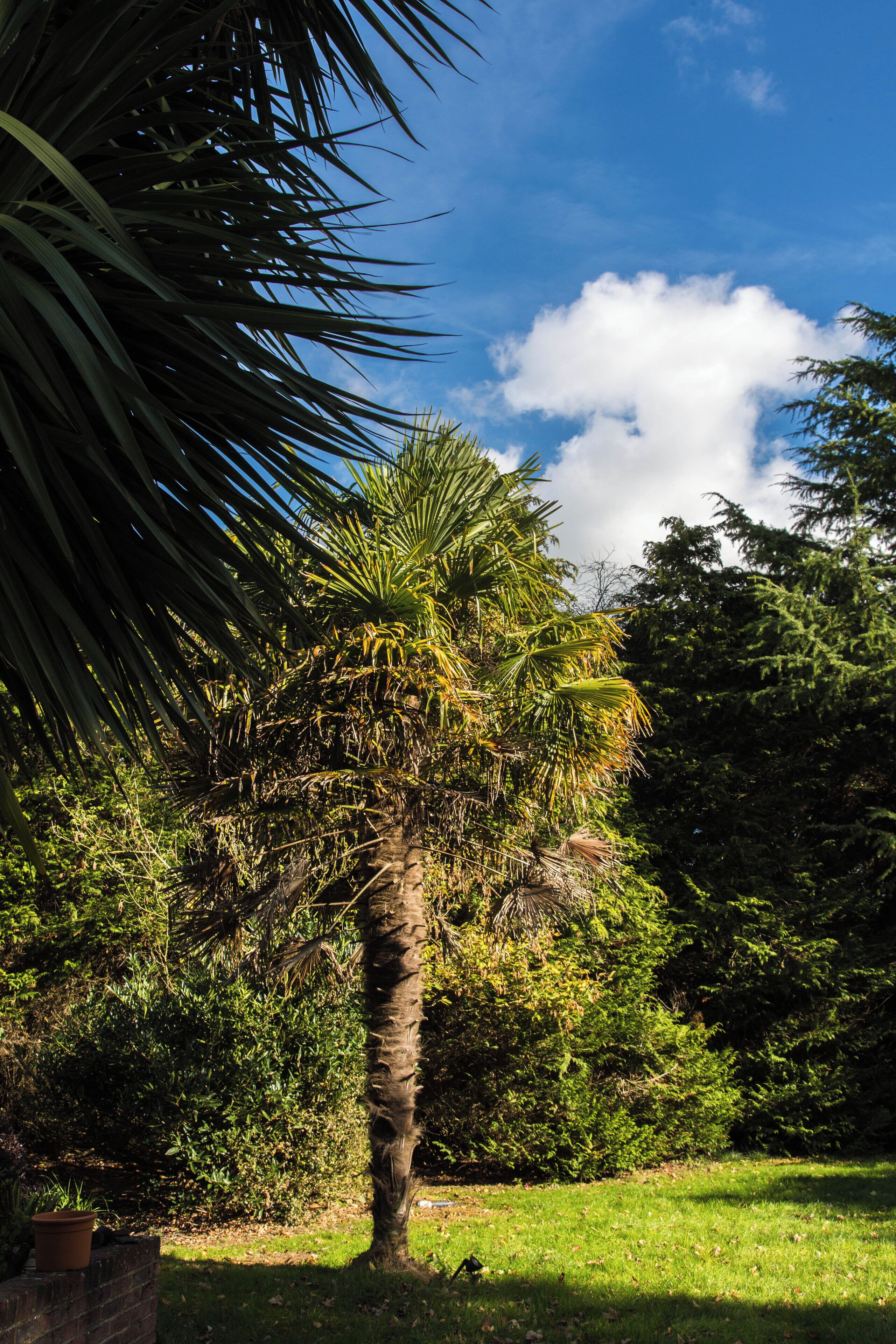 House, 1 Bedroom, Garden View | Garden