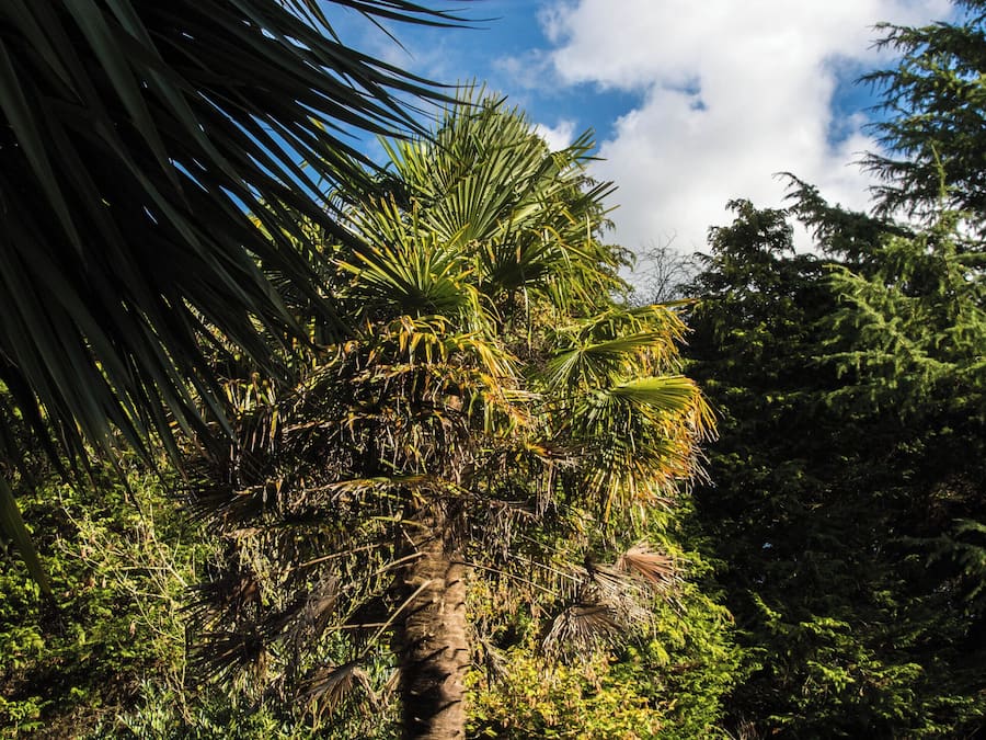 House, 1 Bedroom, Garden View | Garden