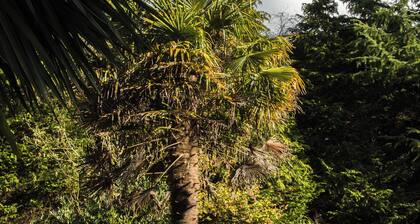 Calm Private Annex in Ashford Ideal to Work, Rest & Explore