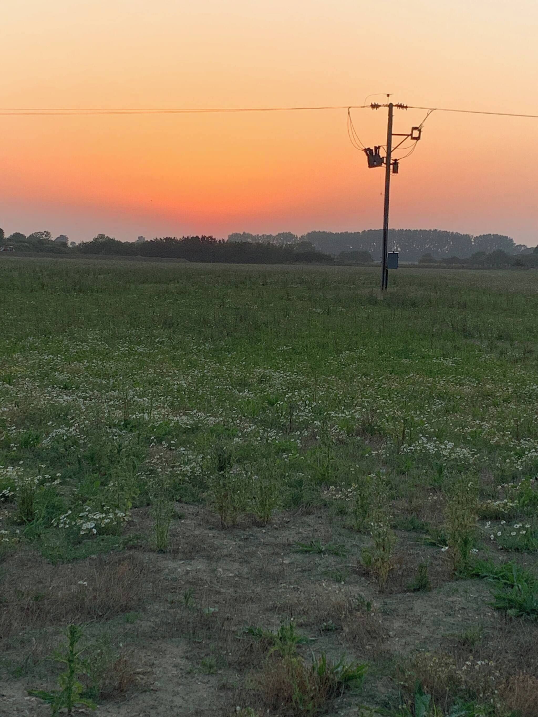 บ้านพัก, 1 ห้องนอน, วิวสวน | บริเวณภายนอก