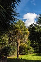 Jardín