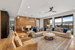 TV connectée, cheminée, livres