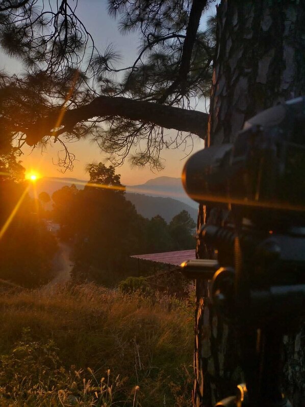 A sunset view from a tree with a metal railing, a path, and distant mountains. - Anupraas Resort (Lansdowne)