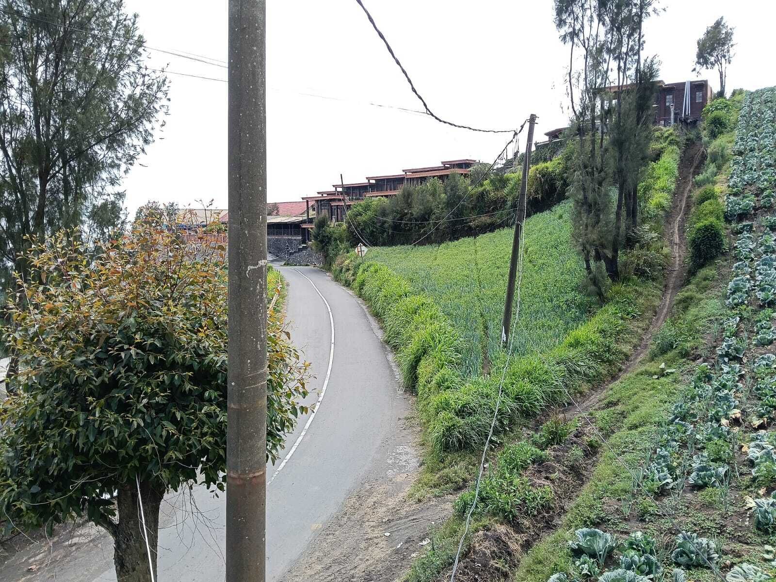 Eine kurvenreiche Straße zieht sich durch eine hügelige Landschaft mit üppiger Vegetation und einigen Gebäuden im Hintergrund.