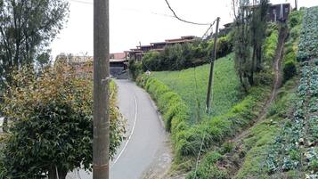 Eine kurvenreiche Straße zieht sich durch eine hügelige Landschaft mit üppiger Vegetation und einigen Gebäuden im Hintergrund.