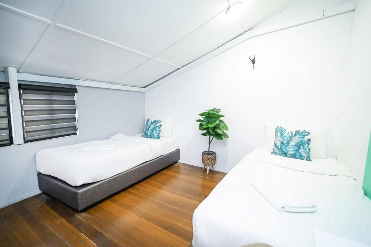 A room with two beds, a potted plant, and a window with blinds.