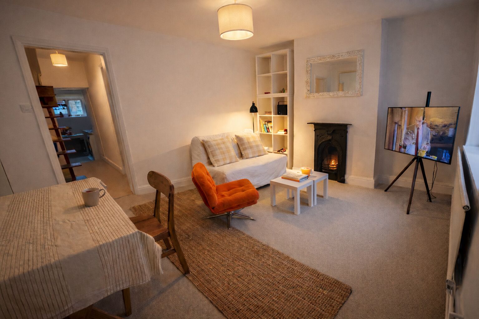 TV, fireplace, books