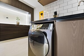 Apartment, 1 Bedroom, City View | Laundry