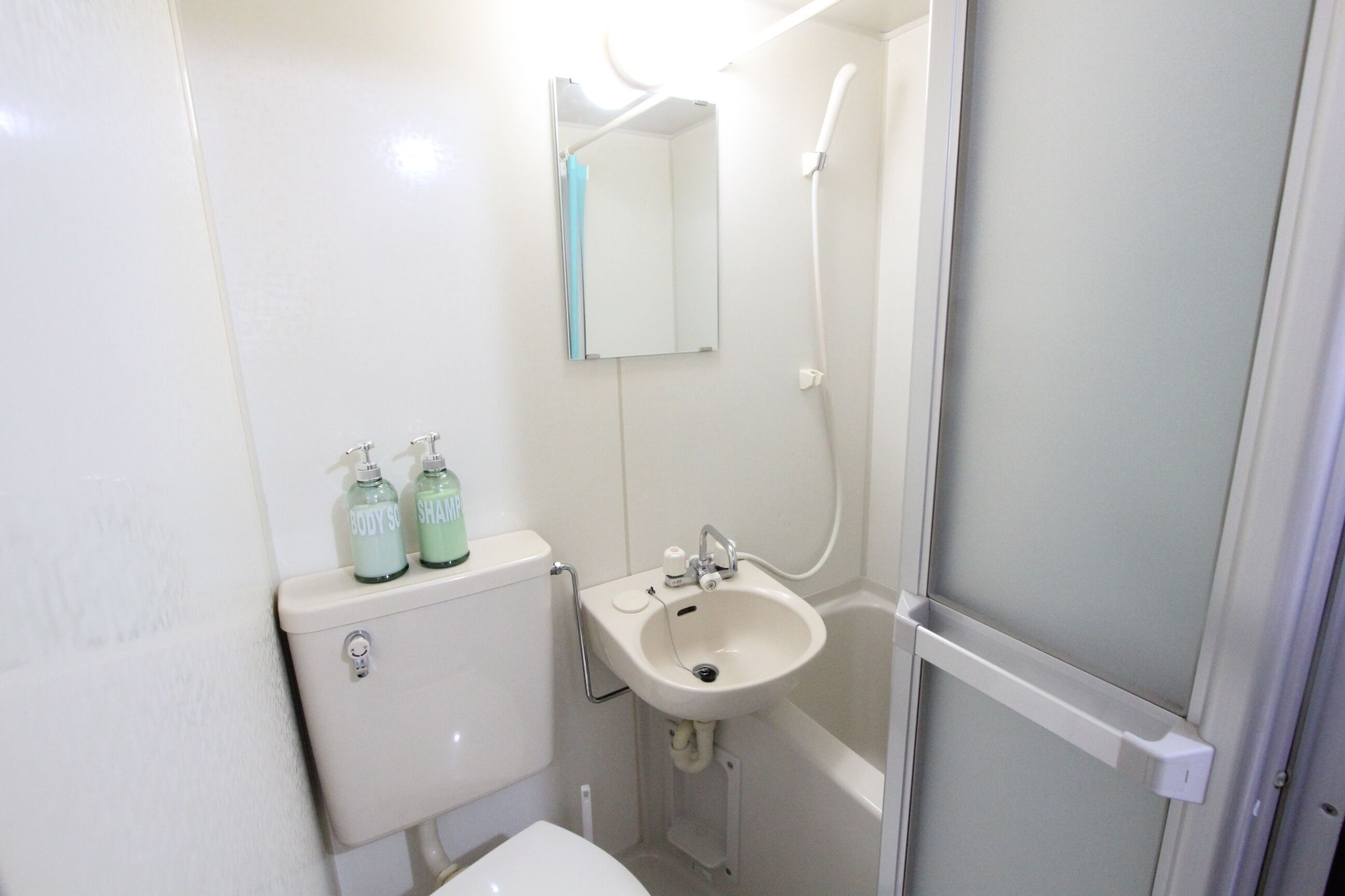 Hair dryer, towels, soap, toilet paper