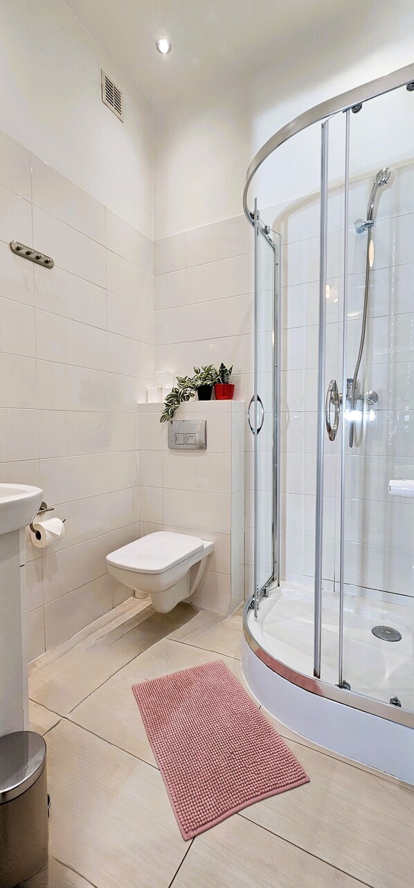 Shower, hair dryer, towels, soap