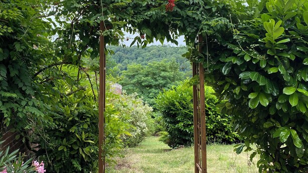 A garden pathway with a wooden pergola structure, surrounded by lush greenery and flowering plants. - Large 4* gîte: sleeps 12, 6 bedrooms, 4 bathrooms, games room, garden (Laon)