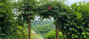 Large 4* gîte: sleeps 12, 6 bedrooms, 4 bathrooms, games room, garden