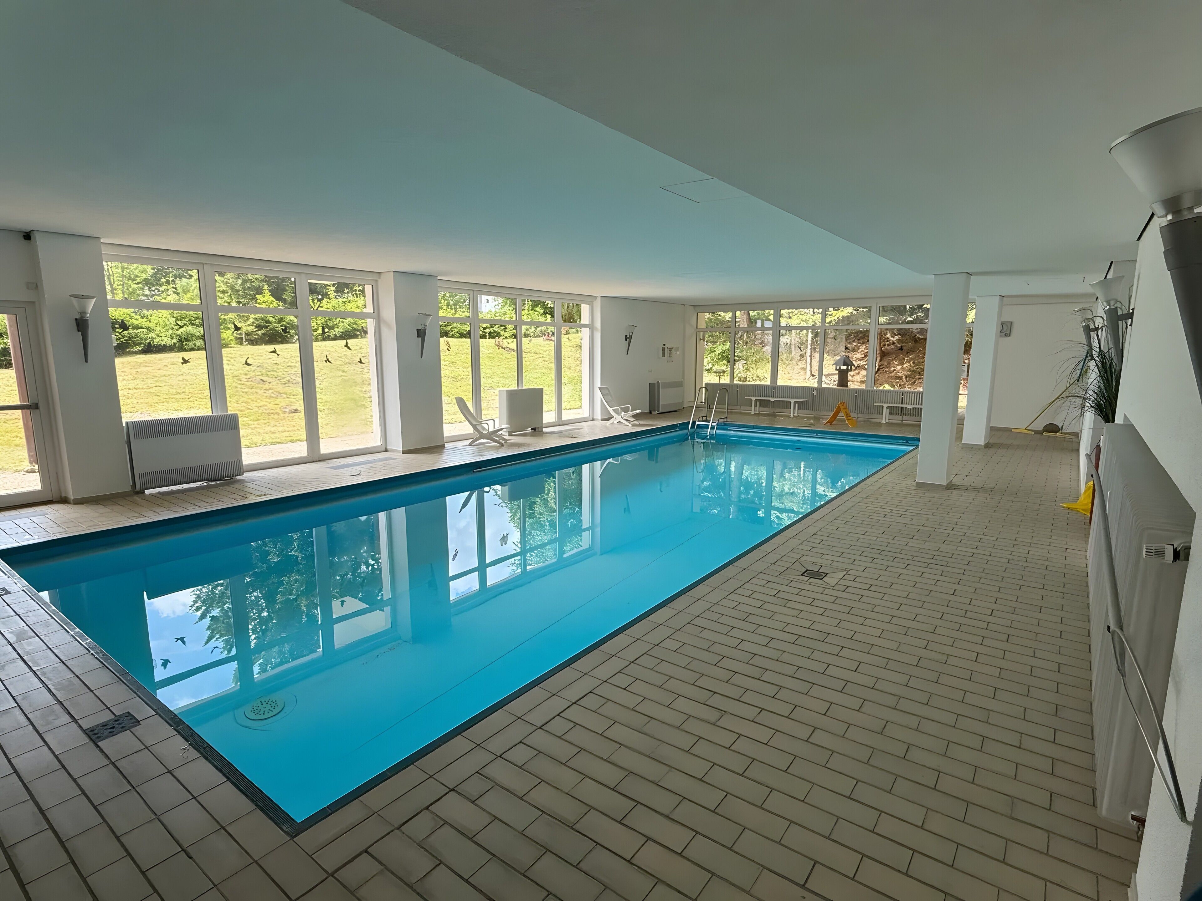 An indoor swimming pool with clear views of a grassy area outside through large windows.