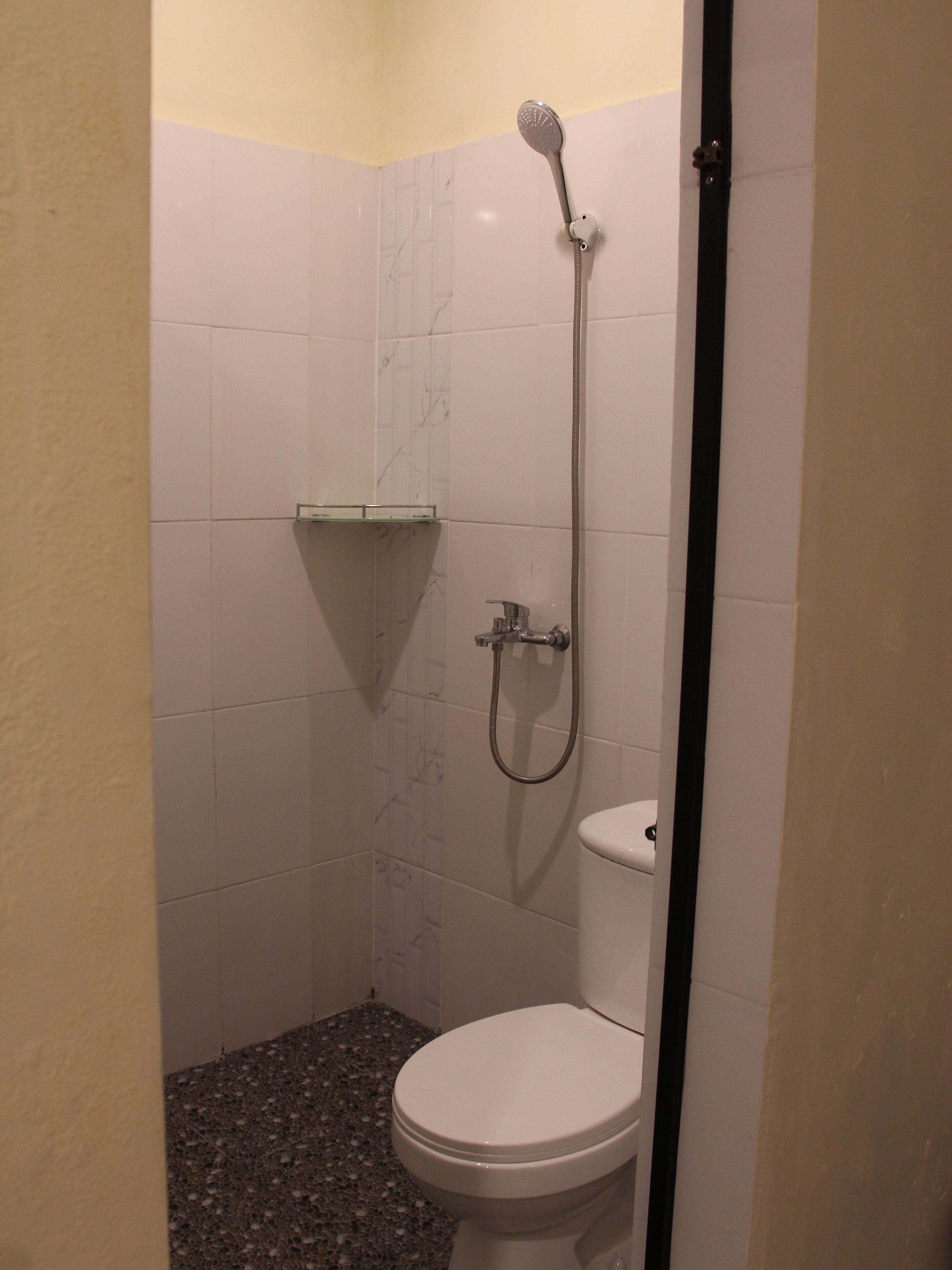 Un baño pequeño con inodoro, ducha y estante de vidrio.