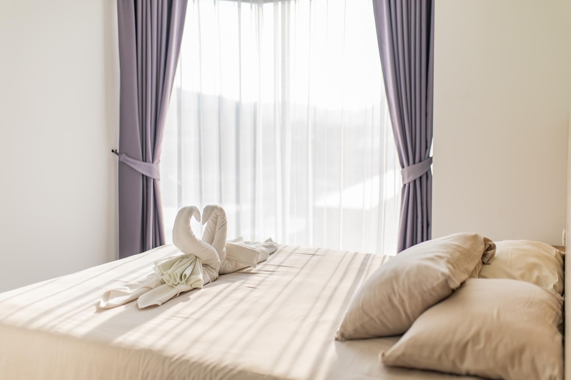 Vista desde la habitación