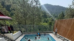 A swimming pool with people enjoying the water, surrounded by a wooden fence and a mountainous backdrop. - The Chail Pine Orchard Resort (Chail)