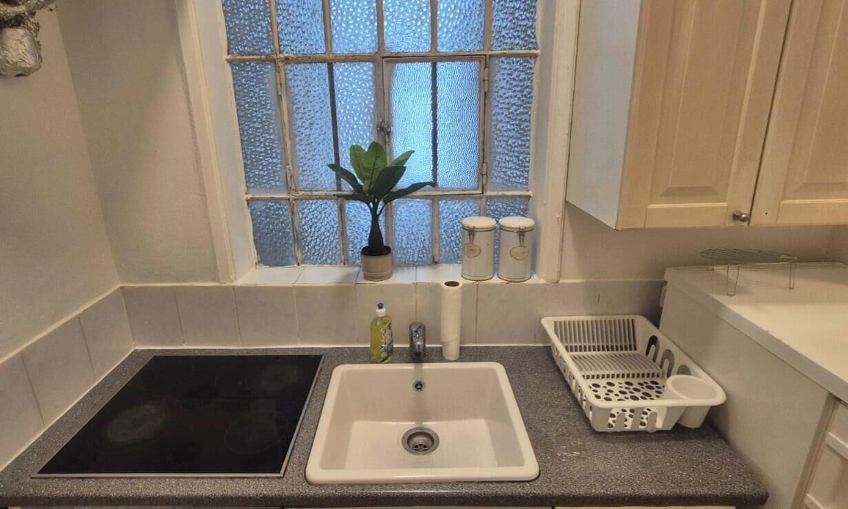 Une cuisine compacte comprenant un évier, une fenêtre avec une plante et un petit plan de travail.