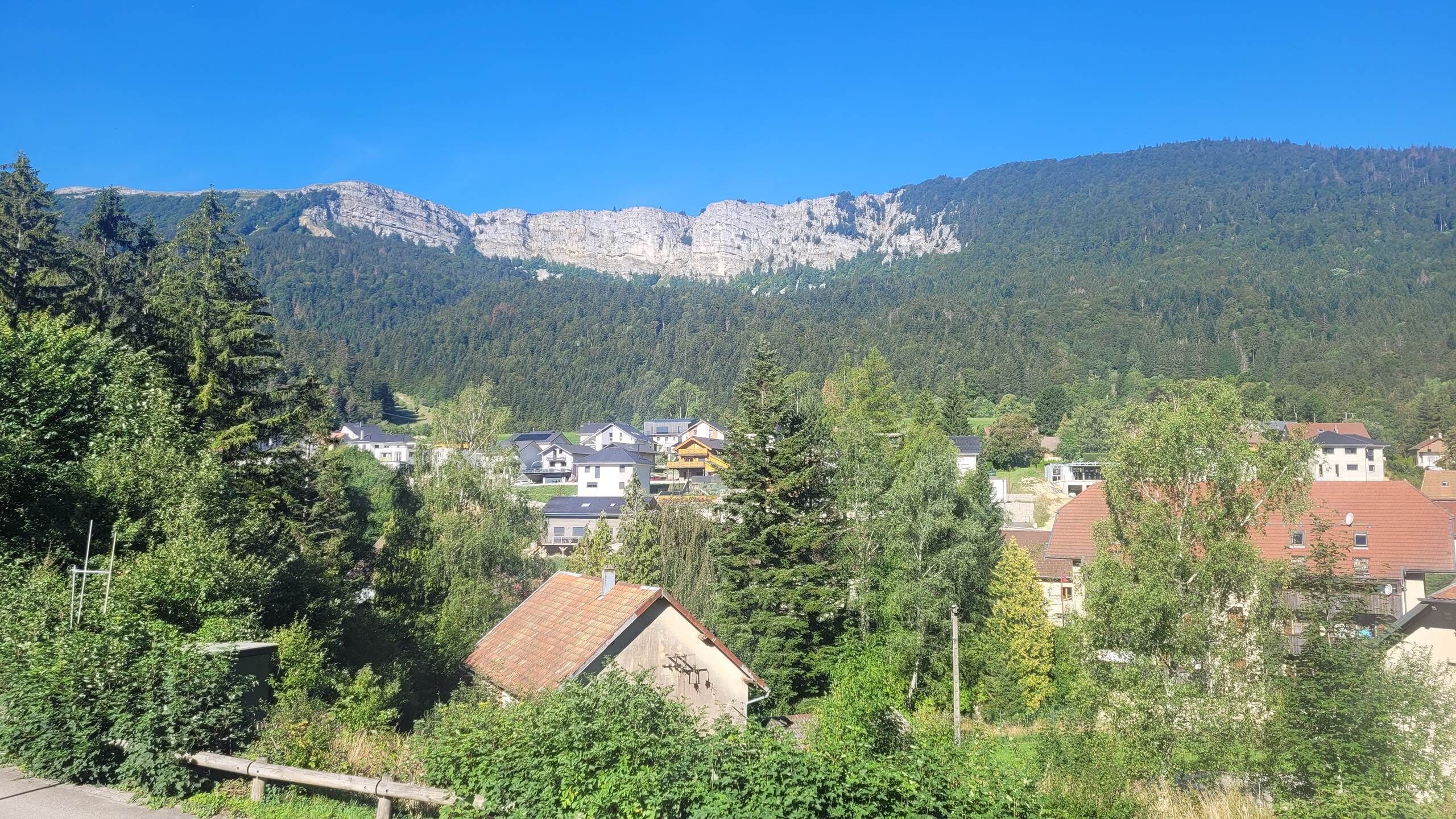 A residential area with houses surrounded by dense forest and mountains in the background.