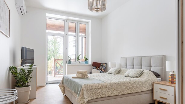 A bedroom with a bed, bedside table, TV, and potted plants. - Apartamenty Stare Bielsko (Bielsko-Biała)