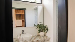 Une salle de bain avec un lavabo en marbre, une plante en pot et un miroir qui reflète une armoire en bois.