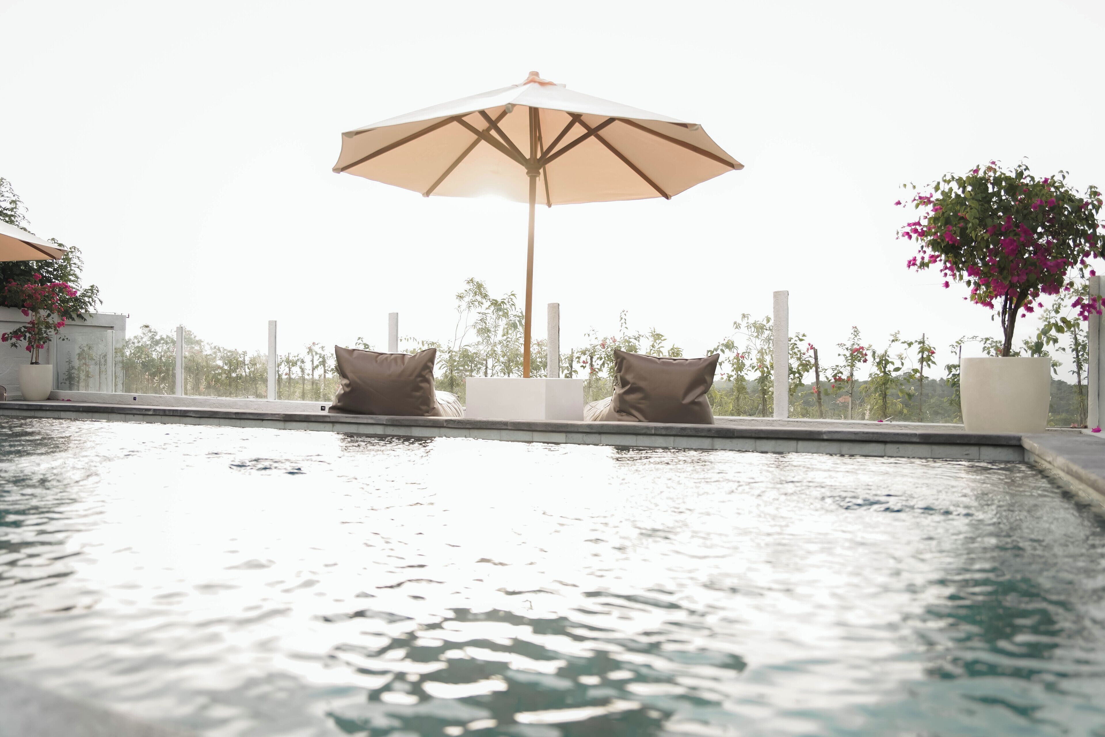A poolside area with two lounge chairs, a large umbrella, and a potted plant.
