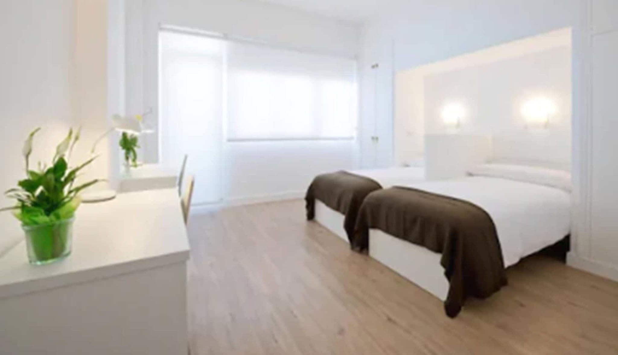 Una habitación de hotel moderna con una cama, mesitas de noche, un escritorio y una planta en maceta.