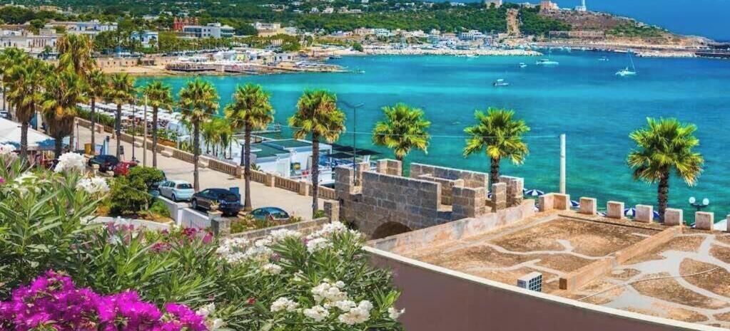 A coastal view with a clear sky, a marina with boats, and a stone wall with palm trees.