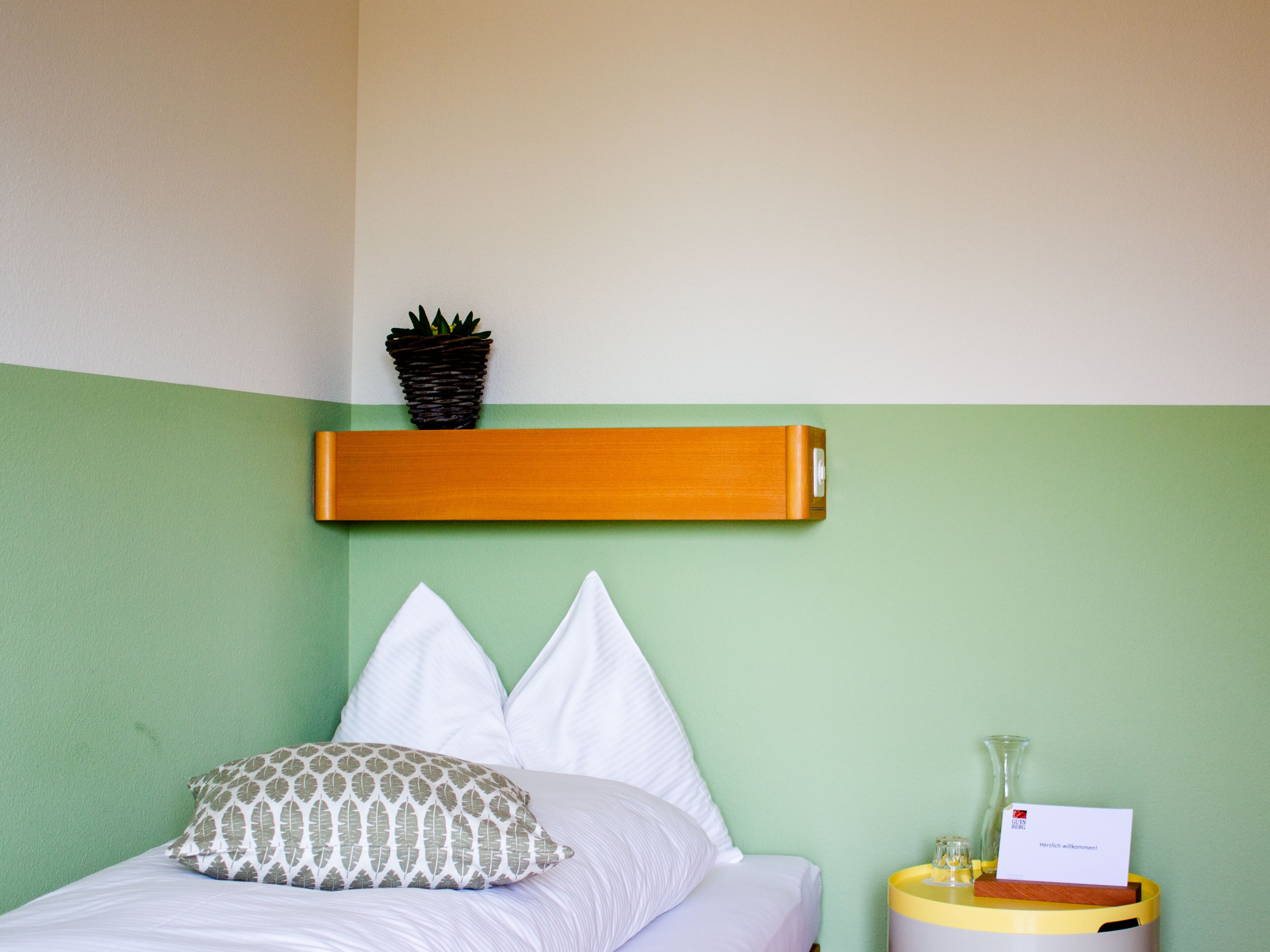 Standard Single Room, Mountain View