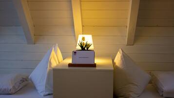 Standardværelse med 2 enkeltsenge - bjergudsigt | Skrivebord, gratis Wi-Fi