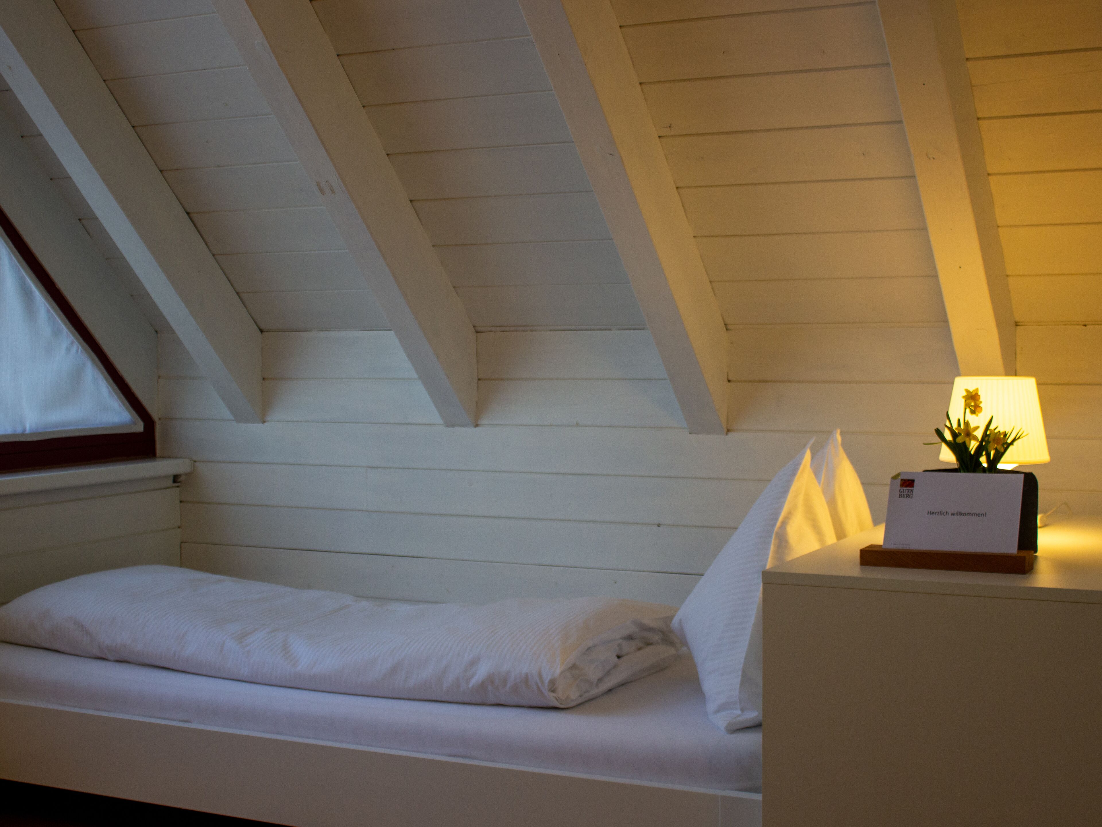 Standard Twin Room, Mountain View