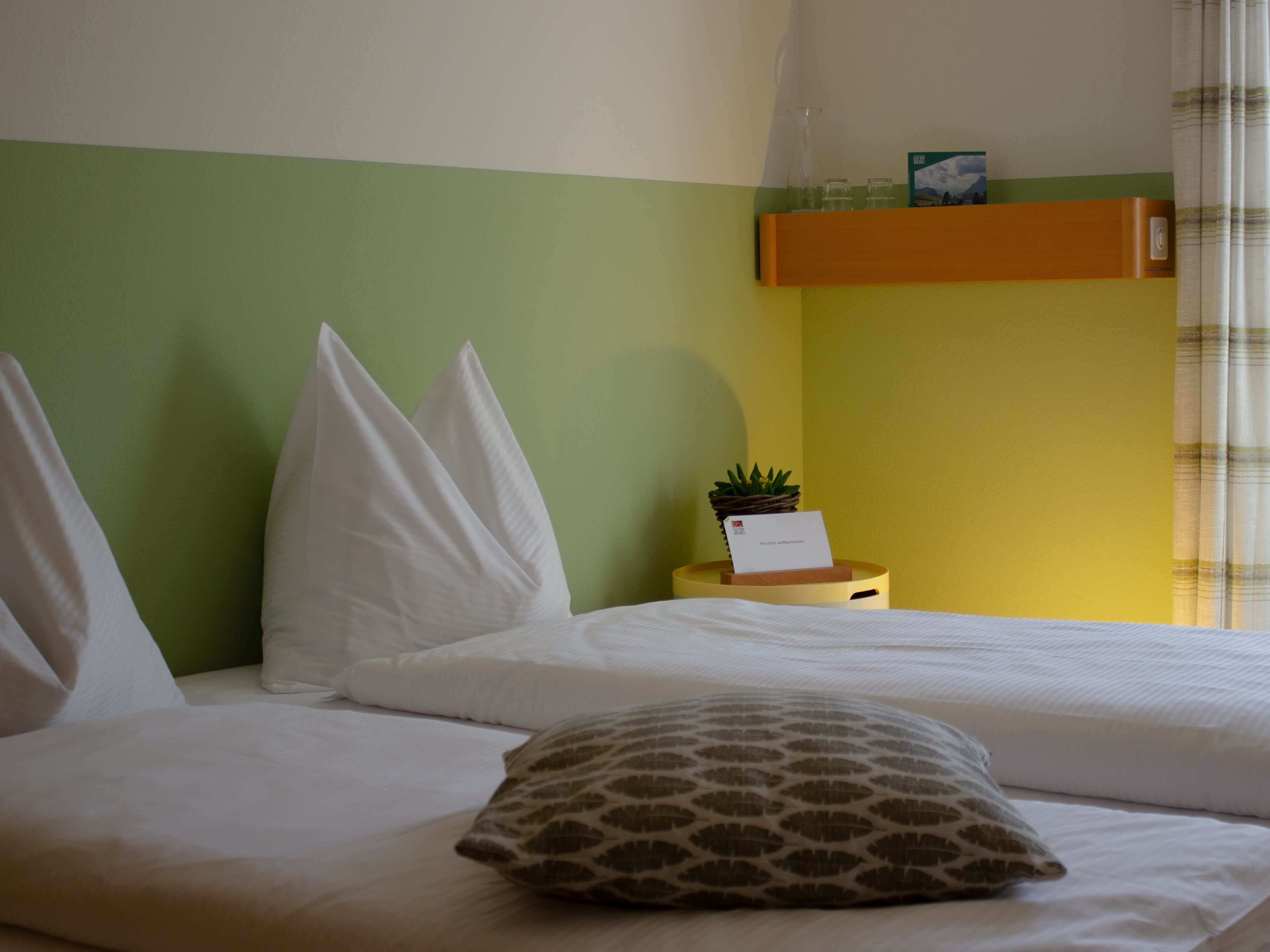 Standard Double or Twin Room, Mountain View