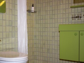 Standard Double or Twin Room, Mountain View | Bathroom | Shower, hair dryer, towels, soap